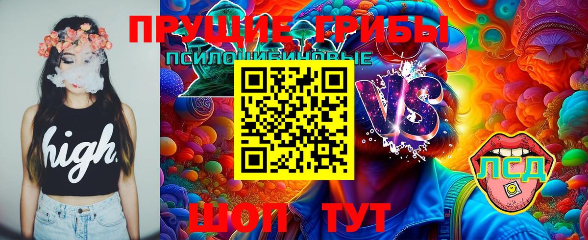 Россошь  Галлюциногенные грибы MAGIC MUSHROOMS  закладки  Псилоцибиновые грибы Psilocybe  Вход с VPN 