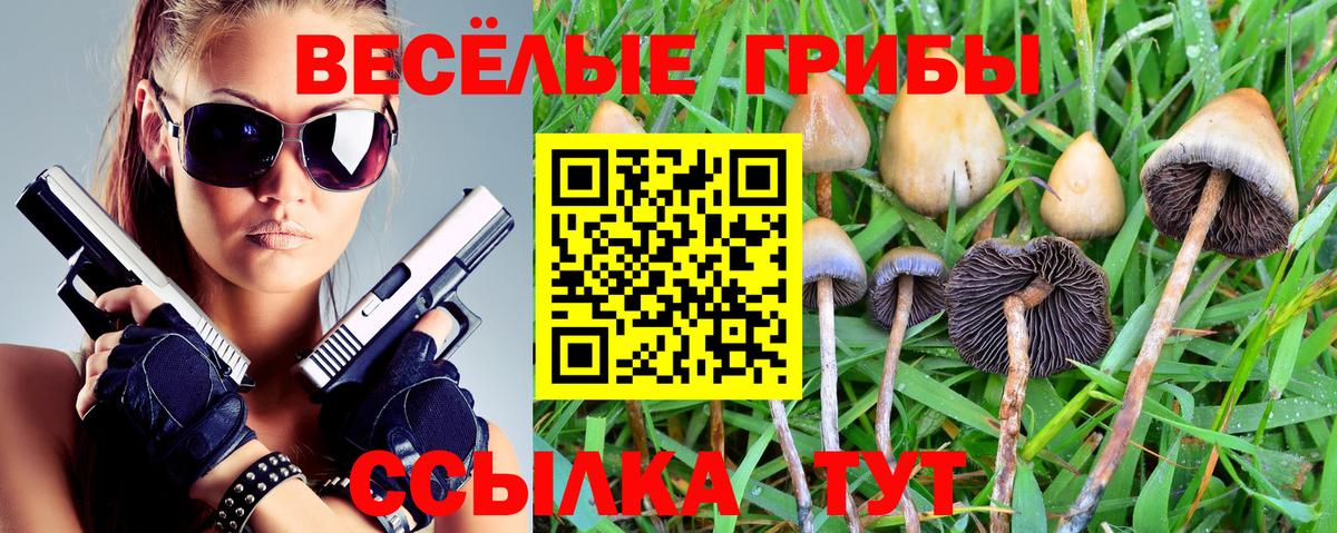 Галлюциногенные грибы Psilocybine cubensis Россошь